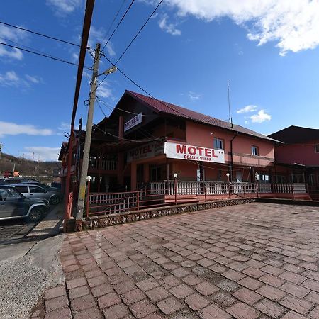 Pensiunea Dealul Viilor Deva Exterior foto